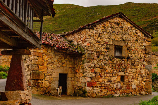 Typical street in the rural village of Bustariega, Asturias - Spain.