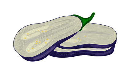 Vector isolated illustration with set of eggplant slices cut lengthwise with pulp and peel. Concept farm, natural products, vegetables, cooking, etc. You can use elements in web design, banners, etc.
