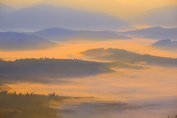 Fototapeta na wymiar mountain ridge silhouette in blue mist, early morning mountain valley scene
