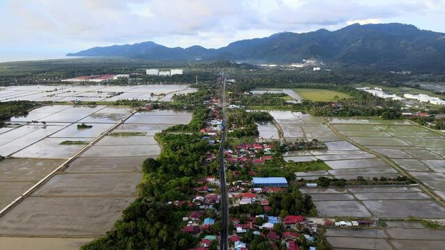Aerial view road pass the paddy field at Balik Pulau