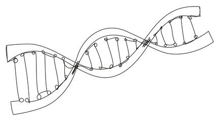 DNA spiral in one line doodle style isolated on white background. Deoxyribonucleic acid outline image. Vector illustration