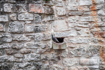 Wasser Rinne aus Stein an einer alten mittelalterlichen gemauerten Steinwand Steinmauer mit Wetter und Wasser Flecken, Deutschland