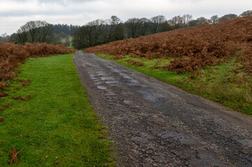 Obraz premium Narrow country lane leading over the Brecon Beacons
