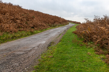 Narrow country lane leading over the Brecon Beacons