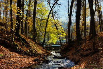 Fall season in Sevenlakes national park (Yedigoller milli parki), Bolu, Turkey