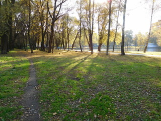 Fototapeta na wymiar footpath in the park