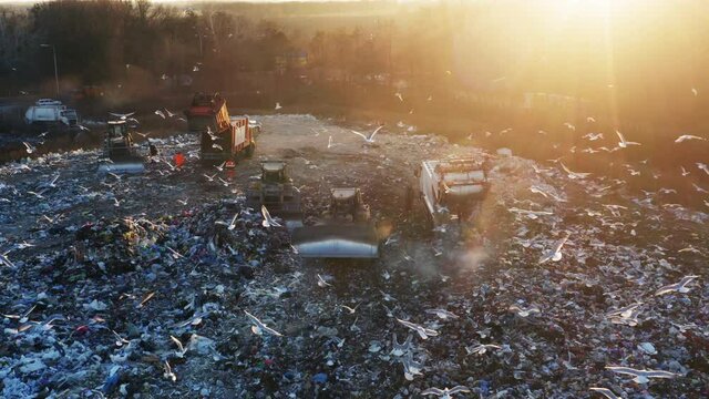 Aerial view of a city dump. A flock of birds is circling over the garbage dump. Garbage trucks unload garbage. Bulldozers crush rubbish and waste