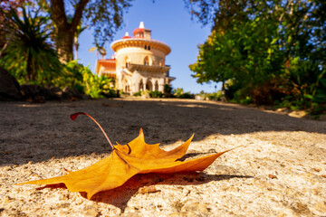 Pałac Monserrate w Sintra, Portugalia w jesiennej odsłonie. Na pierwszym planie jesienny liść, w tle Pałac Monserrate.