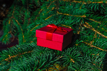 christmas red gift box on fir branches