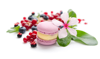 A scattering of juicy berries, flower and macaron.
