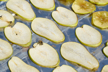 the process of drying apples and pears. harvesting of dried fruits for the winter