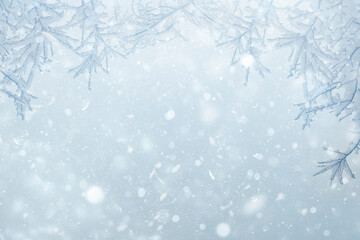 Fototapeta na wymiar snowy tree branches on blue background defocus light and bokeh 