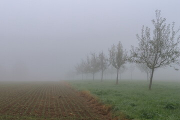 Niebla en los campos de Biberach Van der Riss,  Alemania