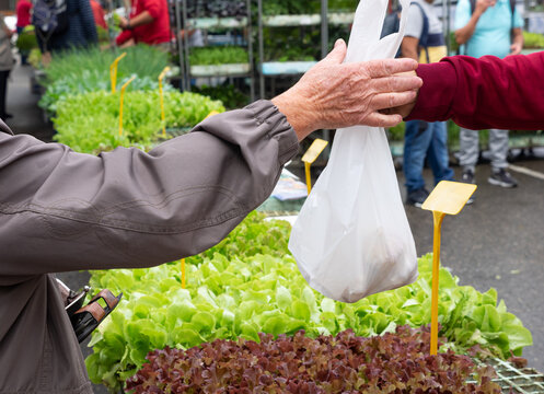 Older Woman Buying Vegetables At A Market, .