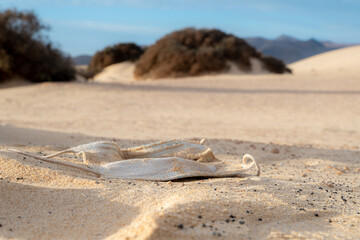 The environmental consequences of the Covid 19 pandemic. abandoned single-use masks