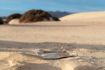 The environmental consequences of the Covid 19 pandemic. abandoned single-use masks