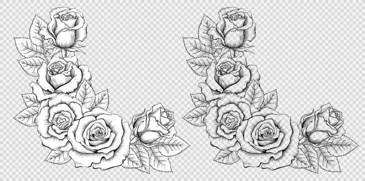 Corner Composition of Vintage Hand-Drawn Roses. Black and White and Contoured Engraved Illustration in Retro Style. Vector Image Isolated on the Imitation of Transparent  Background