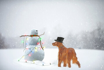 Irish setter dog wearing snowman's black stovepipe hat in snowflakes