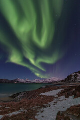Fototapeta na wymiar Northern Lights dancing above the fjord in Tromsø, Norway