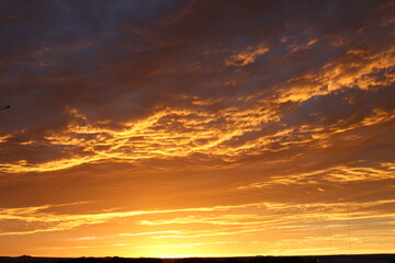 Fototapeta premium Intense Sunset