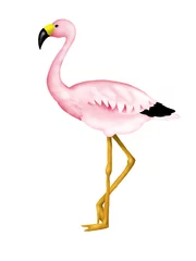 Fotobehang Illustration of pink flamingo isolated on white © Kiera Awayuki