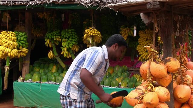 Adult Man Market Vendor Sri Lanka