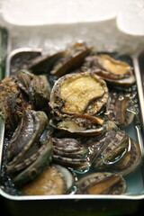 Kyoto,Japan - November 24, 2021: Abalones or ear shells in a tray at a fishmonger in Kyoto
