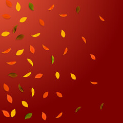 Falling autumn leaves. Red, yellow, green, brown random leaves flying. Gradient colorful foliage on nice red background. Awesome back to school sale.
