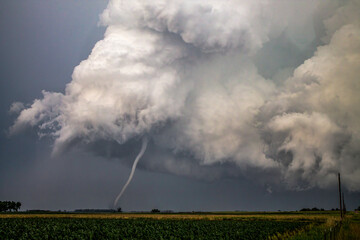 Tornado