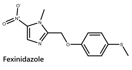 Fexinidazole is a medication used to treat African trypanosomiasis cause by Trypanosoma brucei gambiense. It is effective against both first and second stage disease. 