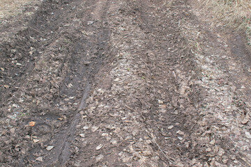 Track on a forest road. Fallen yellow leaves in autumn. Concept of difficult off-road driving.