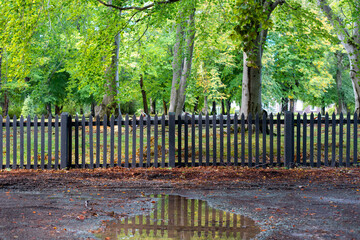 A dark green wooden picket fence with leaves, tree needles, and soil on one side and green grass and large maple trees on the far side. The park-like setting has the sun shining on the dark fence. 