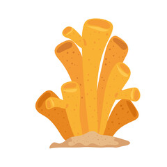 nature coral seaweed © Gstudio