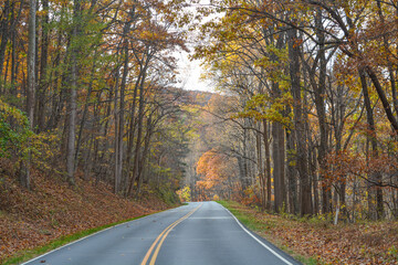 Obraz premium Beautiful, tree lined Skyline Drive in Shenandoah National Park on the Blue Ridge Mountains of Virginia