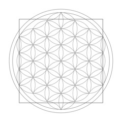 Flower Of Life, Square
