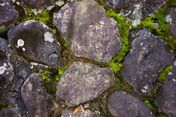 日本 京都 金閣寺