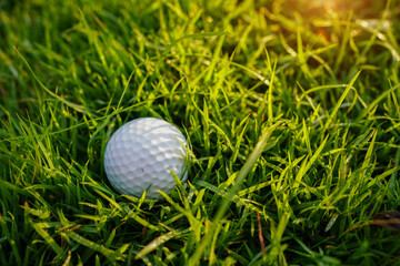 Golf ball is on a green lawn in a beautiful golf course with morning sunshine.
