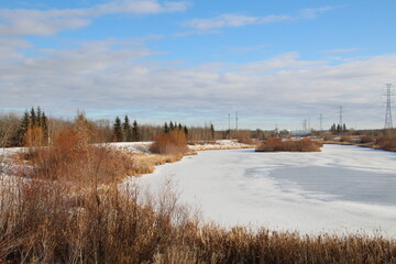 Cold Wetlands, Pylypow Wetlands, Edmonton, Alberta