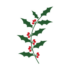 foliage leaves and berries