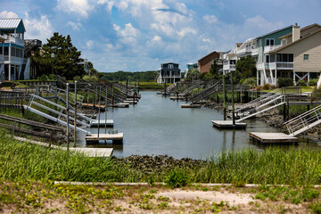 beach scene, flowers, birds
