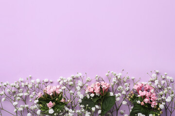 Beautiful floral composition with gypsophila on violet background, flat lay. Space for text