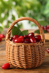 Fresh ripe dogwood berries with green leaves in wicker basket on wooden table