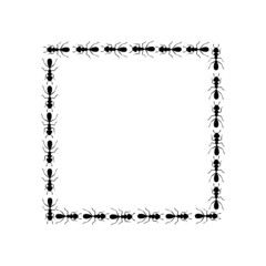 Black ants square border. Ants forming rectangular shape isolated in white background. Vector illustration