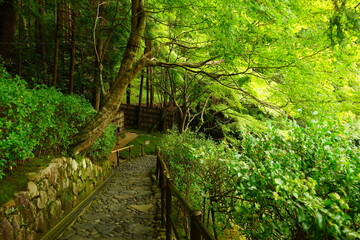 Obraz premium 日本 京都 銀閣寺 日本庭園
