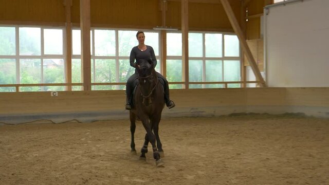 SLOW MOTION: Young Caucasian woman leads a beautiful tall black gelding to ride traver in a big sandy manege. Female horseback rider practices haunches-in riding with her stunning dark brown stallion.