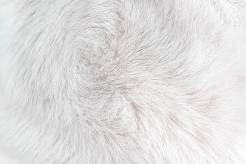 White dog fur with black line patterns  smooth soft texture on background