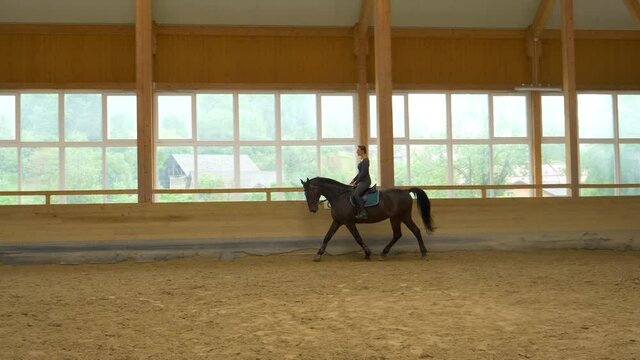 SLOW MOTION: Experienced female rider practices trotting with her stunning gelding during indoor flatwork practice. Young Caucasian woman horseback riding indoors warms up her dark brown stallion.