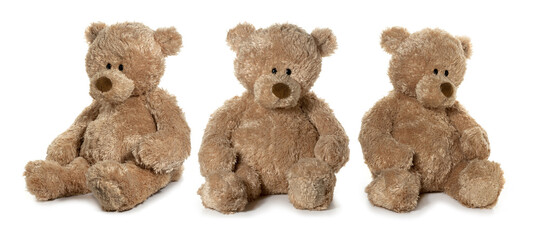 Brown teddy bear on white background. Three position. Full depth of field.