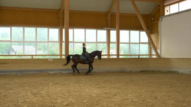SLOW MOTION: Experienced female rider practices cantering with her stunning gelding during indoor flatwork practice. Young Caucasian woman horseback riding indoors warms up her dark brown stallion.