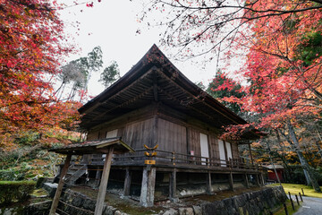 【京都】三千院の紅葉（秋）